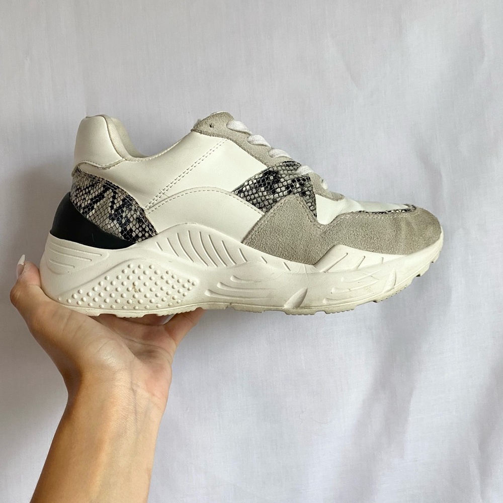 Steve Madden snakeprint sneakers